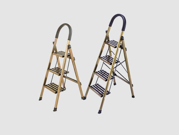 household champagne gold ladder