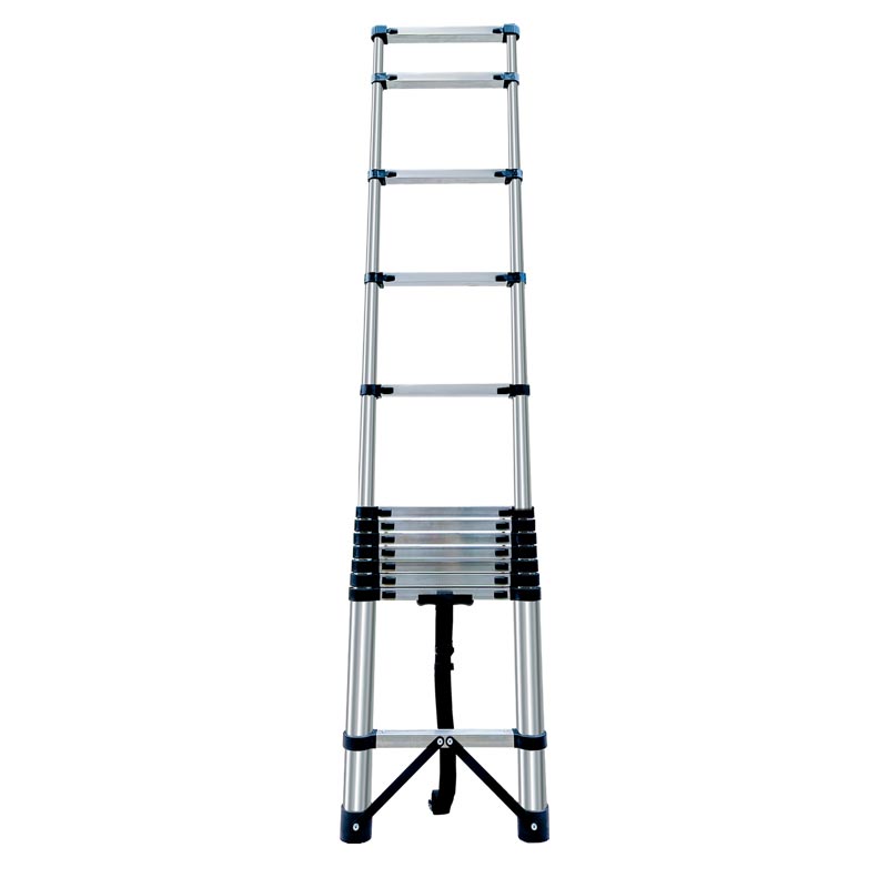 Ladder-Extension